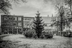 20201205-Ronsdorf-2-Advent-9A1A9961_Optimizer