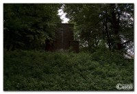 img_3800.jpg