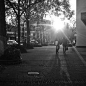 20201127-1Advent-in-BW-9A1A9783 20201127-1Advent-in-BW-9A1A9783