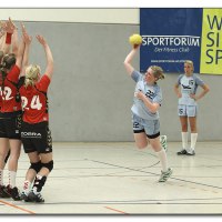 img_4003