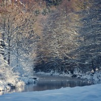 20090110-2009-Schnee-Erinnerung-CRW_1137 20090110-2009-Schnee-Erinnerung-CRW_1137