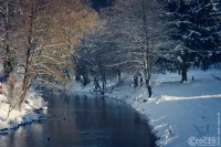 20090110-2009-Schnee-Erinnerung-CRW_1148