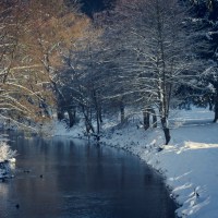 20090110-2009-Schnee-Erinnerung-CRW_1148 20090110-2009-Schnee-Erinnerung-CRW_1148