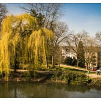 20150409-Fruehling.jpg 20150409-Fruehling.jpg