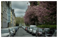 20150503-Es wird Regnen.jpg