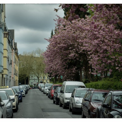 20150503-Es wird Regnen.jpg