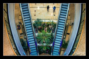 20160117-IMG_7797-Symmetrie