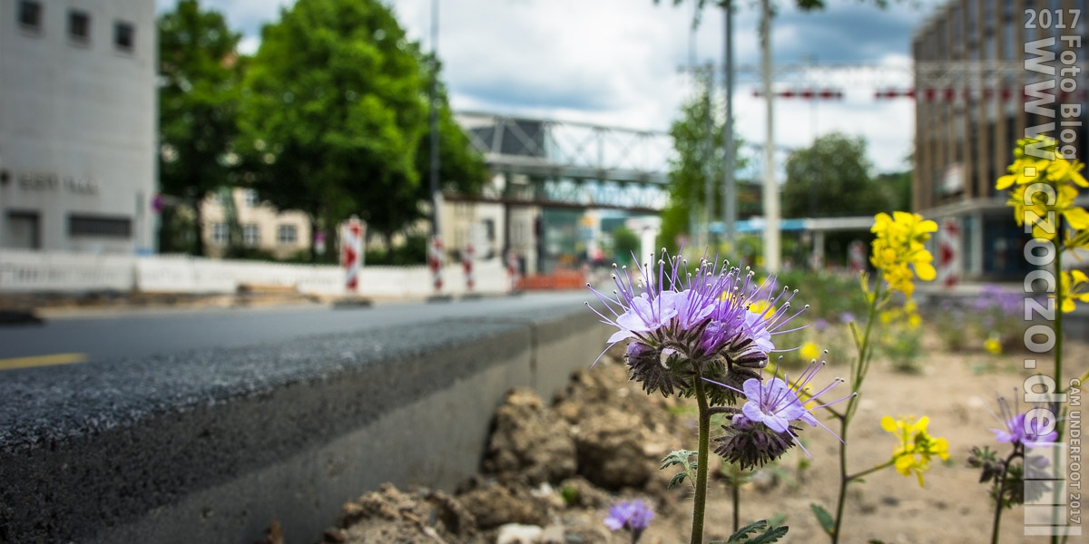 20160522-IMG_2472-An der Baustelle