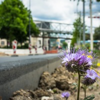 20160522-IMG_2472-An der Baustelle