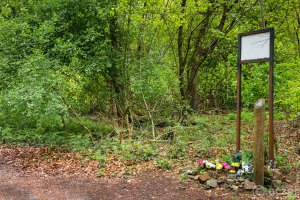 20170507-_MG_3202-Burgholz