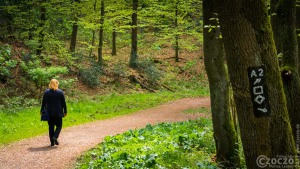 20170507-_MG_3211-Burgholz