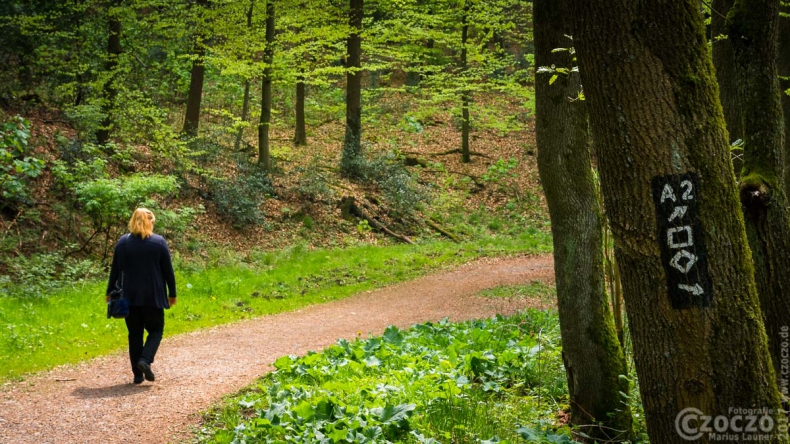 20170507-_MG_3211-Burgholz