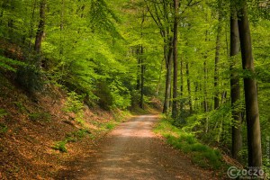 20170507-_MG_3215-Burgholz