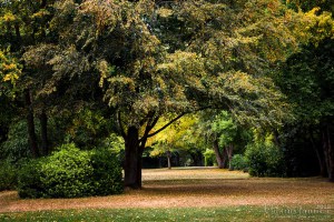 20180729-unbenannt-IMG_7098