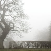 20190126- Nebel - IMG_2341 20190126- Nebel - IMG_2341