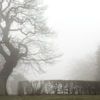 20190126- Nebel - IMG_2341 20190126- Nebel - IMG_2341