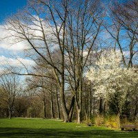 20190319-Ist-so-weit-IMG_3292 20190319-Ist-so-weit-IMG_3292