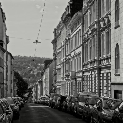 20200816-Wuppertal-9A1A8462