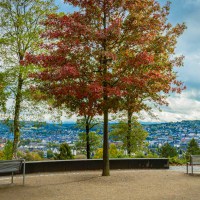 20201006-Nordpark-9A1A9235