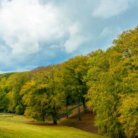 20201006-Nordpark-9A1A9250