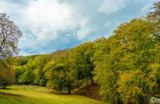 20201006-Nordpark-9A1A9250