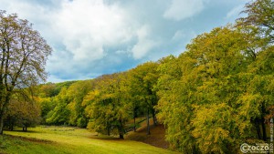 20201006-Nordpark-9A1A9250