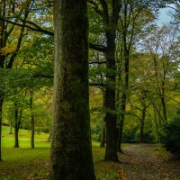 20201006-Nordpark-9A1A9251