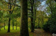 20201006-Nordpark-9A1A9251