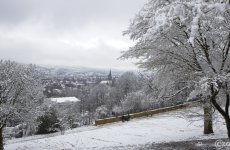 20210108-Winter-ist-da-9A1A0483-
