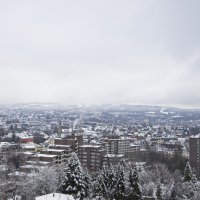 20210108-Winter-ist-da-9A1A0489- 20210108-Winter-ist-da-9A1A0489-