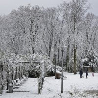20210108-Winter-ist-da-9A1A0491 20210108-Winter-ist-da-9A1A0491