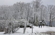 20210108-Winter-ist-da-9A1A0491