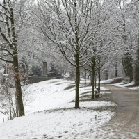 20210108-Winter-ist-da-9A1A0496
