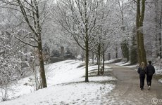 20210108-Winter-ist-da-9A1A0496