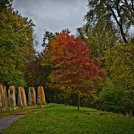 2022-10-15-9A1A0016-ON1-Herbst-Farben-1