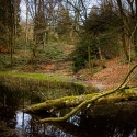 20220205-_A1A4833-ON1-Natur