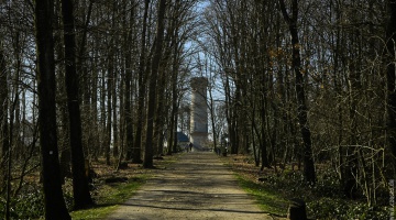 20220305-_A1A5469-ON1-Toelleturm