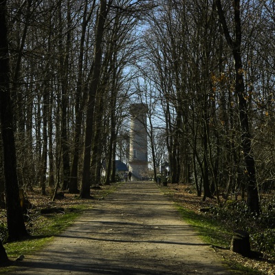 20220305-_A1A5469-ON1-Toelleturm