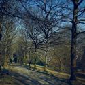 20220310-_A1A5477-ON1-Barmer-Anlagen-Allee2
