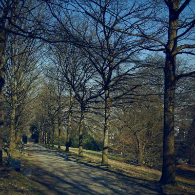 20220310-_A1A5477-ON1-Barmer-Anlagen-Allee2