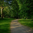 20220518-9A1A7286-ON1-Gruene-Lunge-der-Stadt