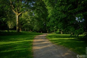 20220518-9A1A7286-ON1-Gruene-Lunge-der-Stadt