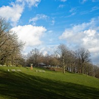 2023-01-11-9A1A2556-Wie-ein-Fruehling- 2023-01-11-9A1A2556-Wie-ein-Fruehling-