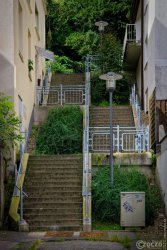 2023-09-14-9A1A1202-Park-Hohenstein