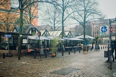 20240113-9A1A0008-Luisenviertel
