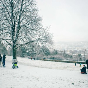 20240114-9A1A0025-Nordpark-Wintertag