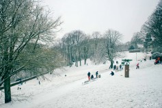 20240114-9A1A0027-Nordpark-Wintertag