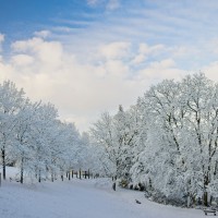 20240116-9A1A0051-Barmer-Anlagen-Winter