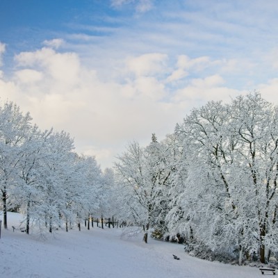20240116-9A1A0051-Barmer-Anlagen-Winter