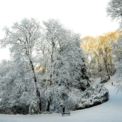 20240116-9A1A0057-Barmer-Anlagen-Winter